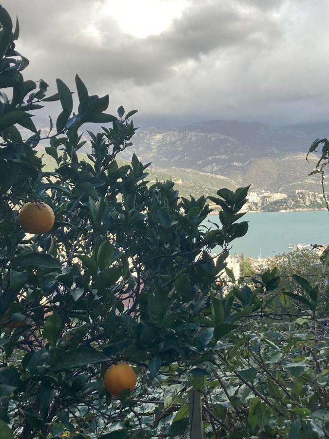 Guest House Garden Budva Exterior foto